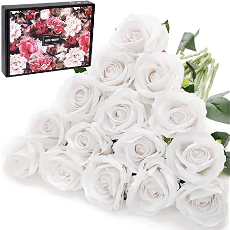 51apcaql5l. ac us800