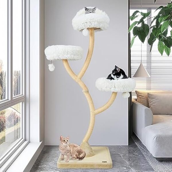 51cbghedtal. ac us800