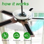 51ebiwnbsbl. ac us800