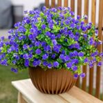 51frh5yokdl. ac us800