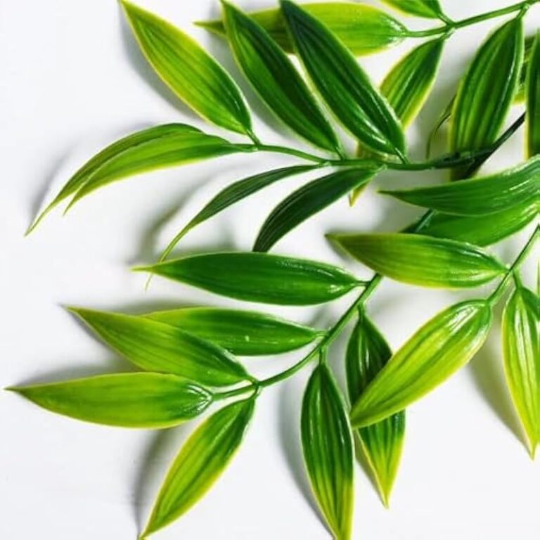 51hk4zf7yml. ac us800