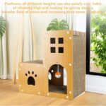 51jpbqfp79l. ac us800