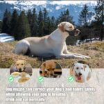 51mffbrjgll. ac us800