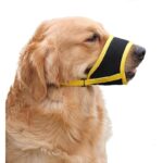 51oju9we0yl. ac us800