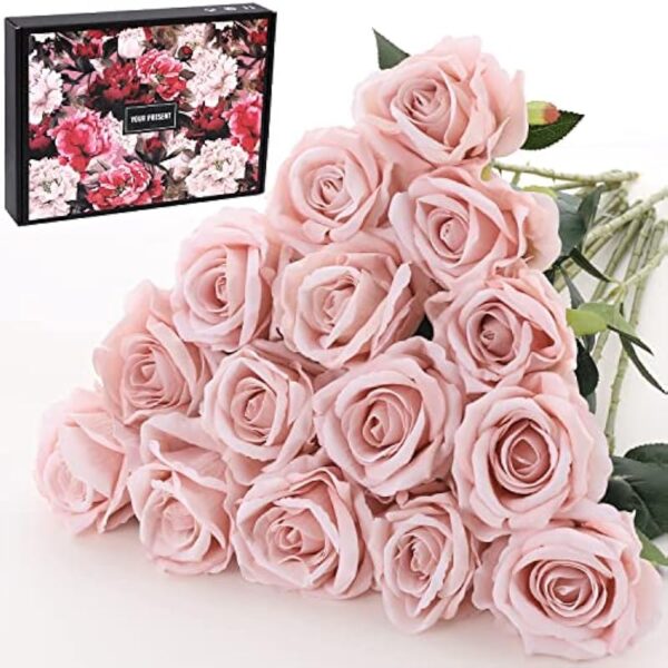 51op1oltvgl. ac us800