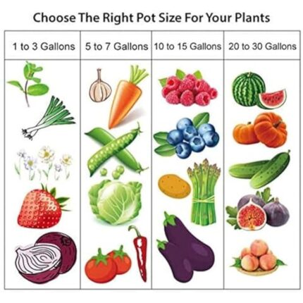 51paesi5mzl. ac us800