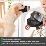 51qfbpyjecl. ac us800