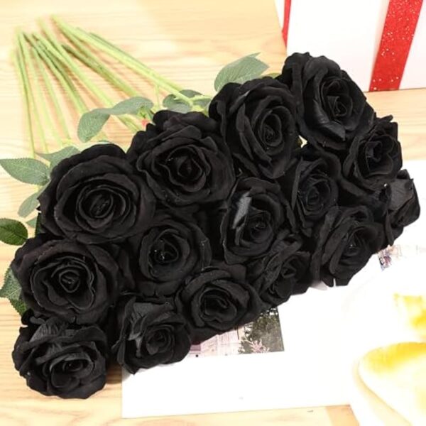 51qpz2eehpl. ac us800