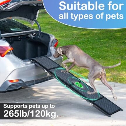 51rgtlvpfl. ac us800