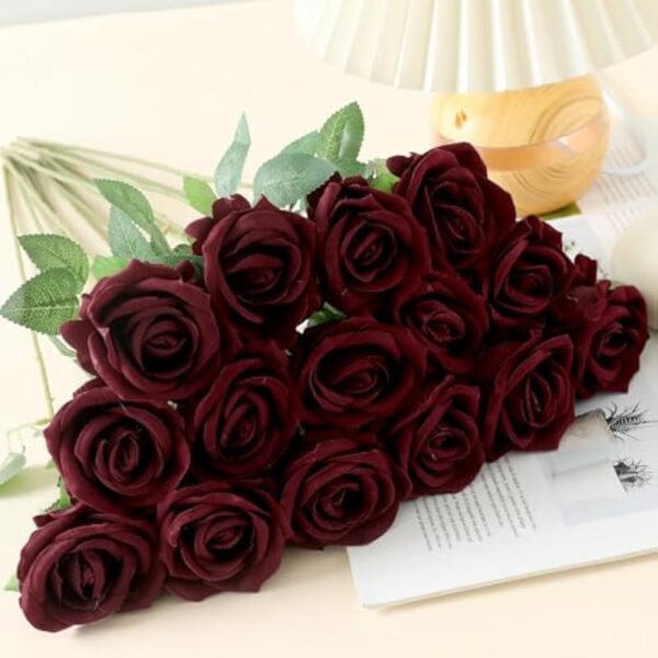 51rxzolsbfl. ac us800