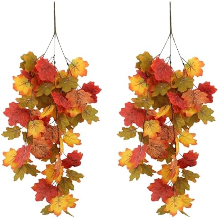 51vhmy2n66l. ac us800