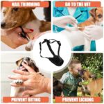 51wbqul0xzl. ac us800