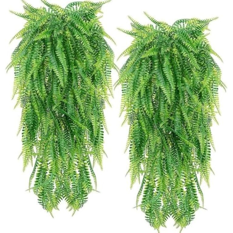 51wrbjov7pl. ac us800