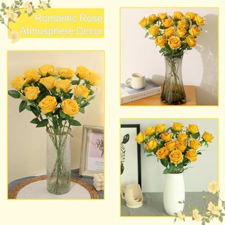 51ym8cu9khl. ac us800