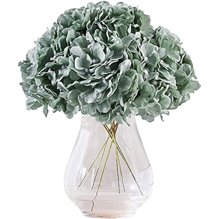 51zazuxlghs. ac us800