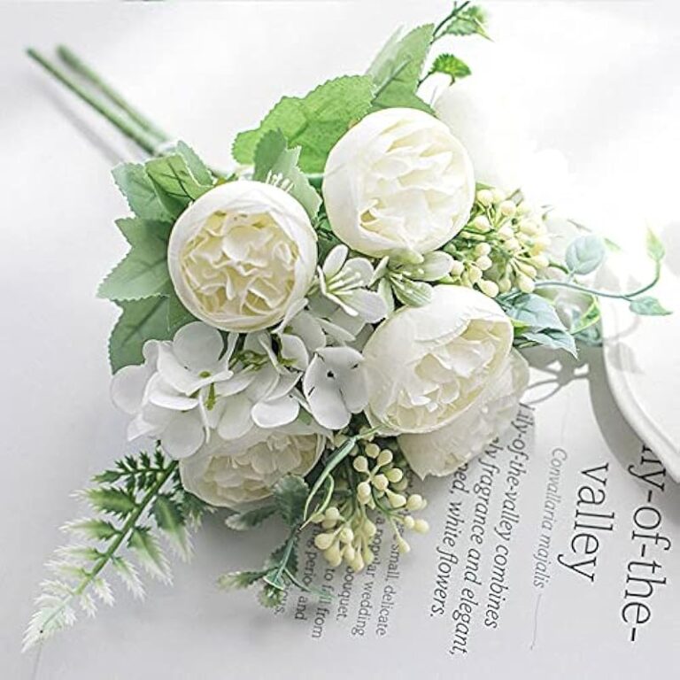 51avmu4oml. ac us800