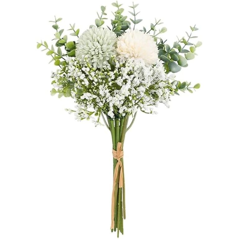 51b7auavo8l. ac us800