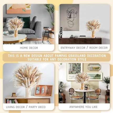 51dteoun5nl. ac us800