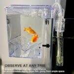 51exyesv80l. ac us800