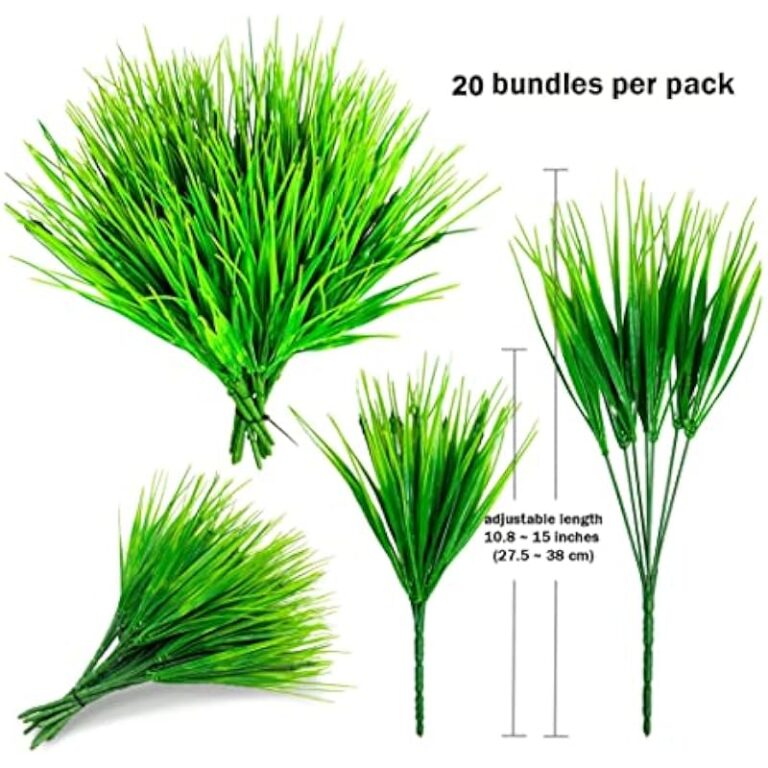 51fq6cw 0jl. ac us800