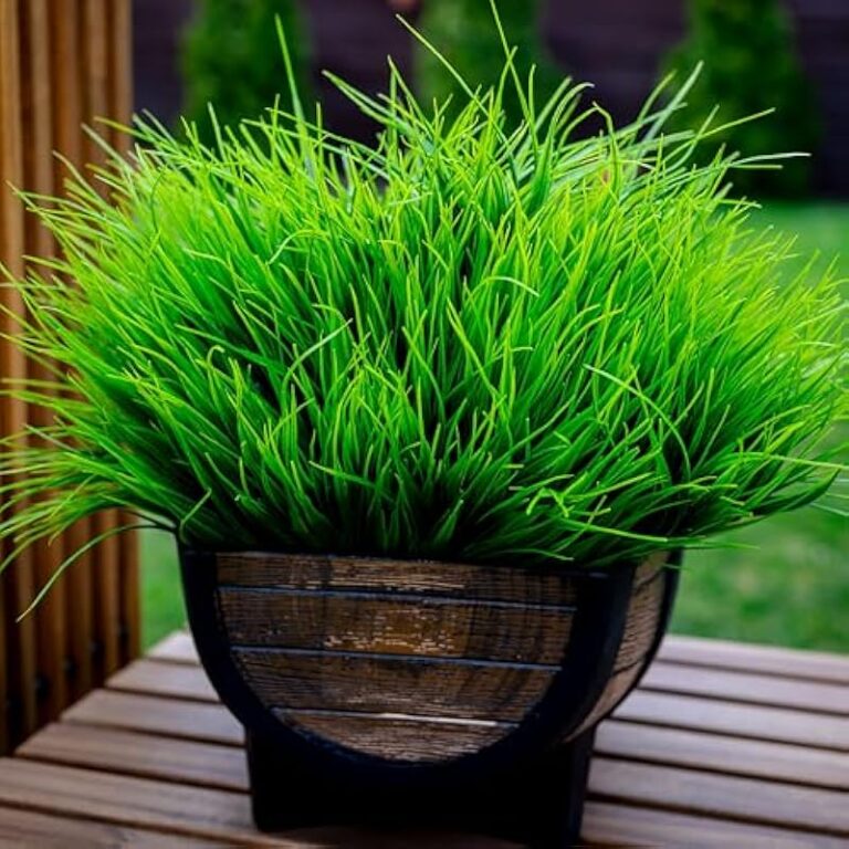 51gfxoewxol. ac us800