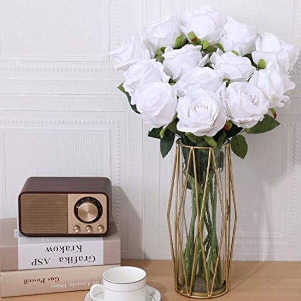 51l5hnnfotl. ac us800