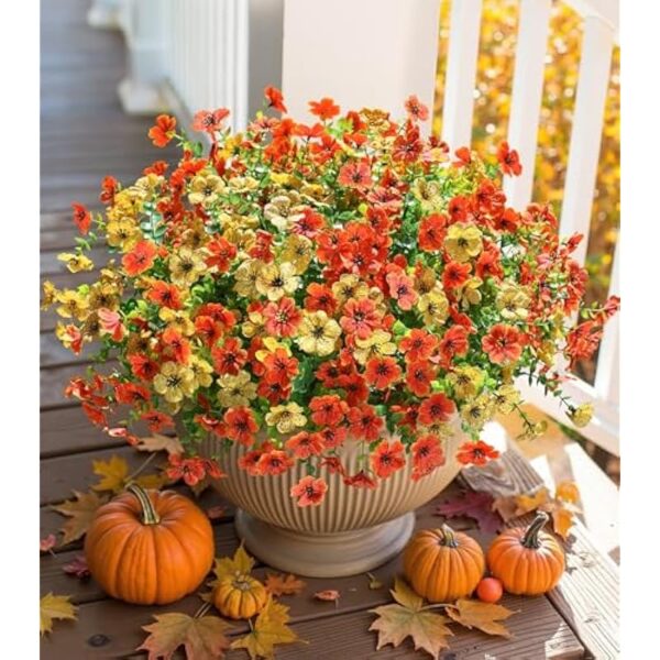 51li48c3ixl. ac us800