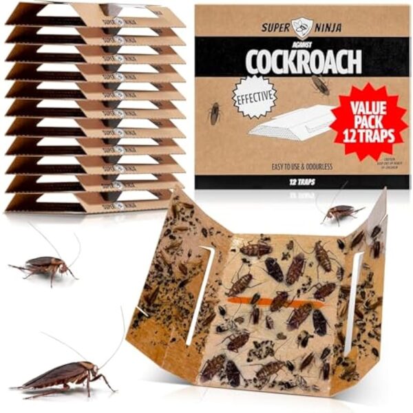 51owmyo76ml. ac us800