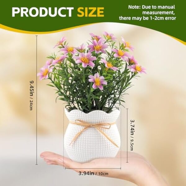 51r zrwomul. ac us800