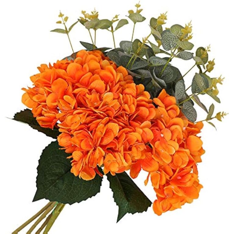 51rlp62warl. ac us800