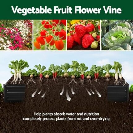 51tpgsmyr5l. ac us800