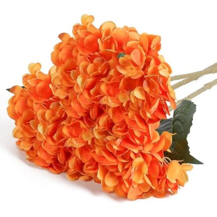 51wzrx9cx5l. ac us800