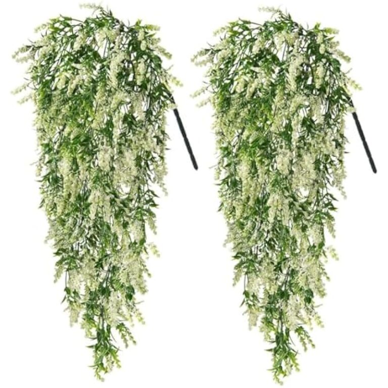 51xbye7azml. ac us800