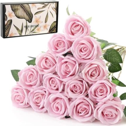 51xeoo57nl. ac us800 