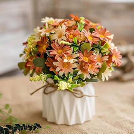 51xkzzmexel. ac us800 