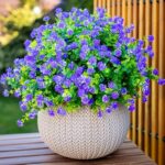 61ecw7najwl. ac us800