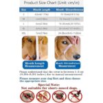 61fffgtvdbl. ac us800