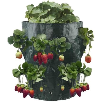 61i3m9gswsl. ac us800