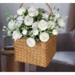 61kbz9np3l. ac us800