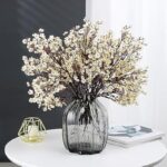 61ld ciecil. ac us800