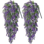 61z7cmcdhl. ac us800