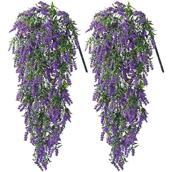 61z7cmcdhl. ac us800