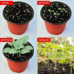 71jage1thxl. ac us800